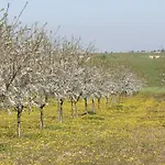 Masseria Torre Di Nebbia קסטל דל מונטה
