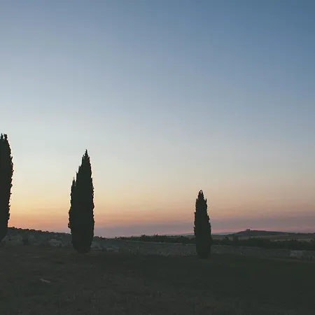 Masseria Torre Di Nebbia 팜스테이 *