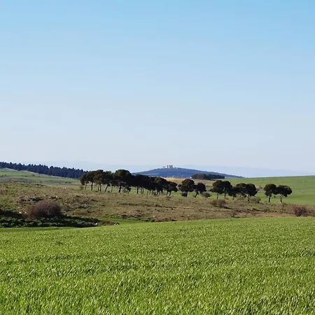 Masseria Torre Di Nebbia * 카스텔델몬테