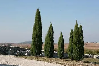 Masseria Torre Di Nebbia *