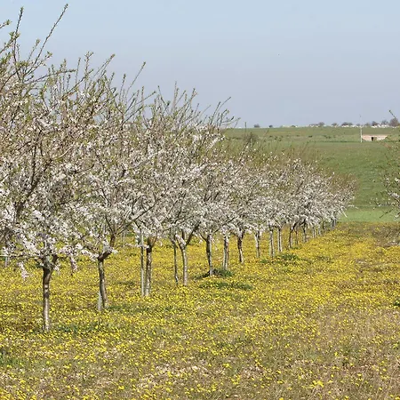 Masseria Torre Di Nebbia 카스텔델몬테
